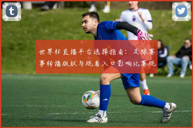 世界杯直播平台选择指南：足球赛事转播版权与观看入口影响比赛观赛体验