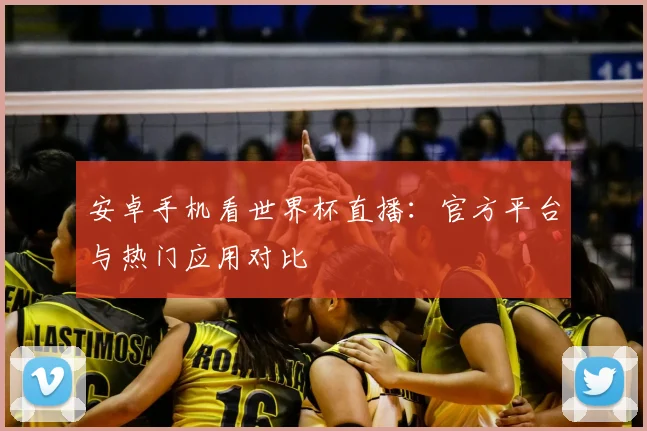 安卓手机看世界杯直播：官方平台与热门应用对比